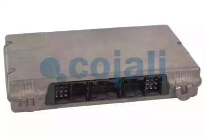 COJALI 350069
