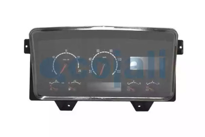 COJALI 350119