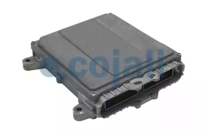 COJALI 350208