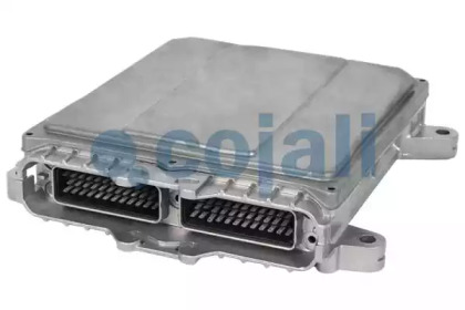 cojali 350442