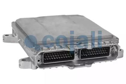 cojali 350442