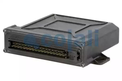 COJALI 352307
