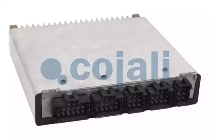 COJALI 352401