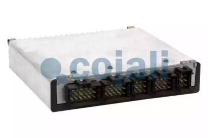 cojali 352406