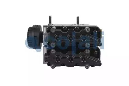 cojali 352864