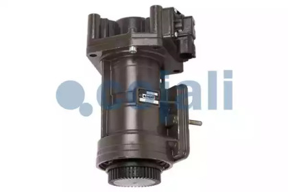 COJALI 354003