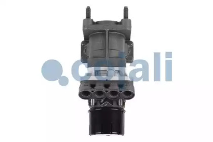 cojali 354016