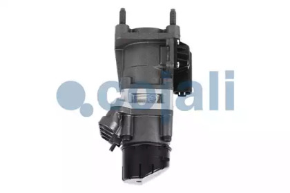 cojali 354016