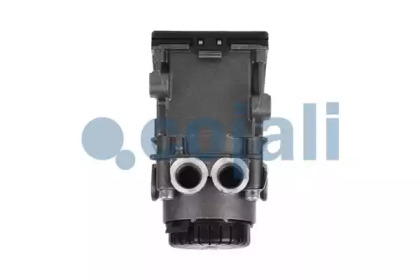 cojali 354073
