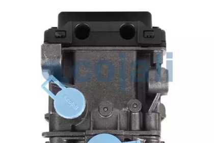 cojali 354073