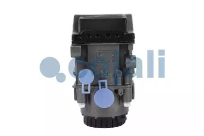 COJALI 354075
