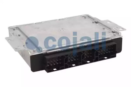 cojali 354431