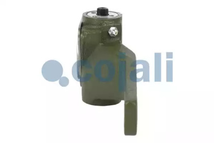 cojali 4230213