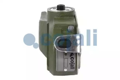 cojali 4230213