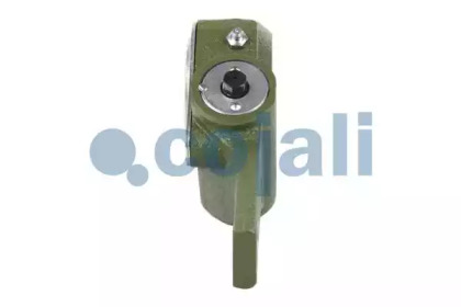cojali 4230402