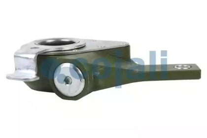 cojali 4230402