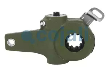cojali 4230730