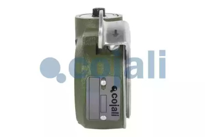 cojali 4230730