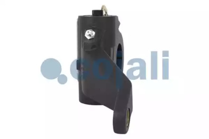 cojali 4232101