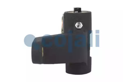 cojali 4232104