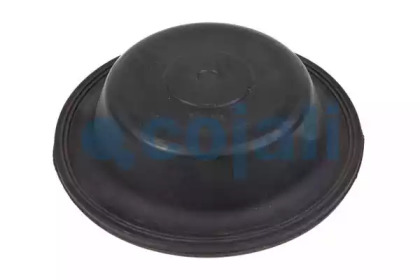 cojali 6001102