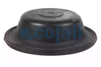 cojali 6001102