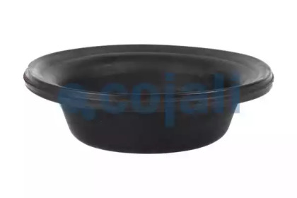cojali 6001102