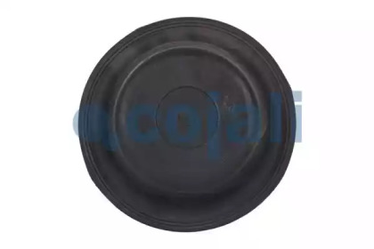 cojali 6001102