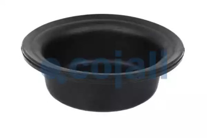 COJALI 6001109