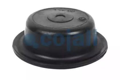 cojali 6001109