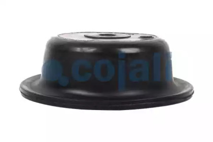 cojali 6001109