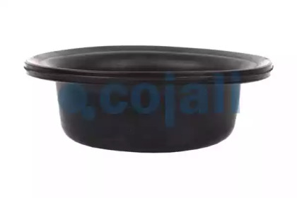 cojali 6001109
