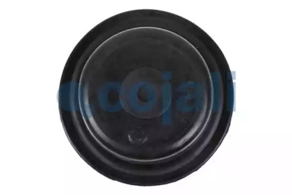 cojali 6001109