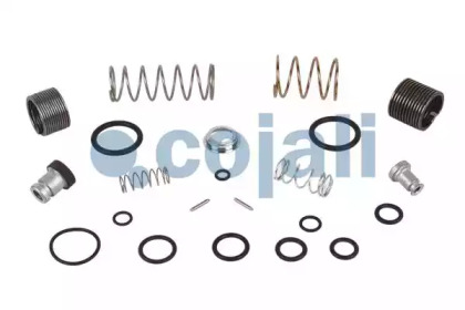 COJALI 6012137