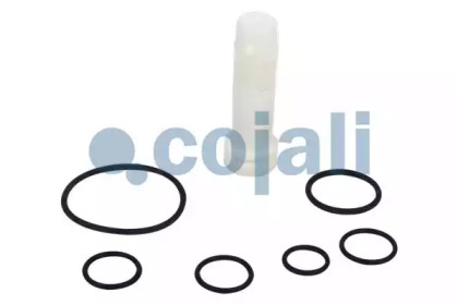 COJALI 6012176