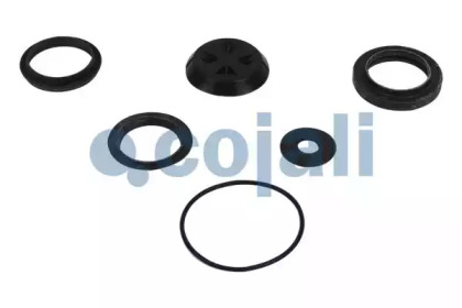COJALI 6012182