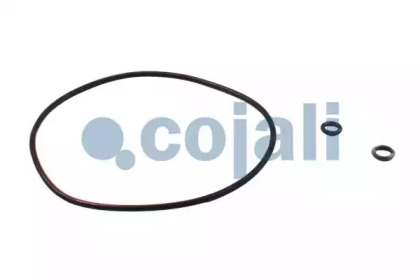 cojali 6014104