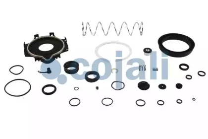 COJALI 6032120