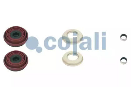 COJALI 6084002