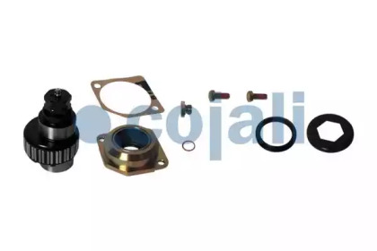 COJALI 6086007