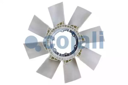 cojali 7027103