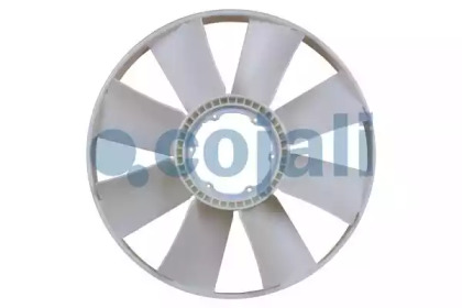 cojali 7037124