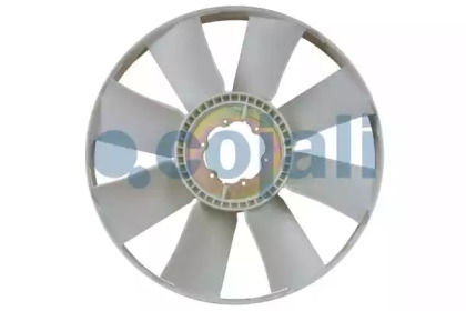 cojali 7037127