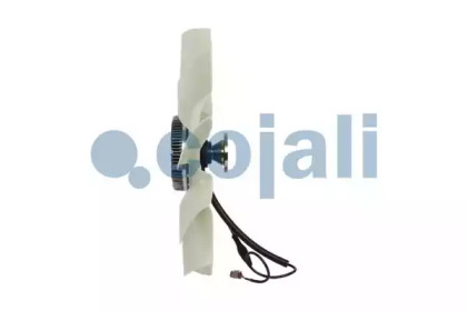 cojali 7075403