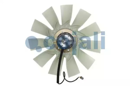 cojali 7075403