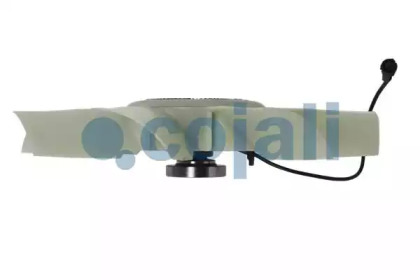 cojali 7085405