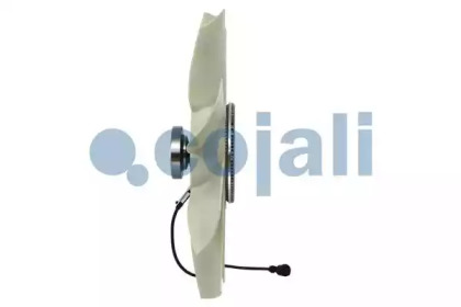 cojali 7085412