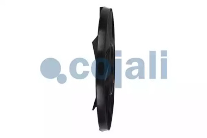cojali 8111610