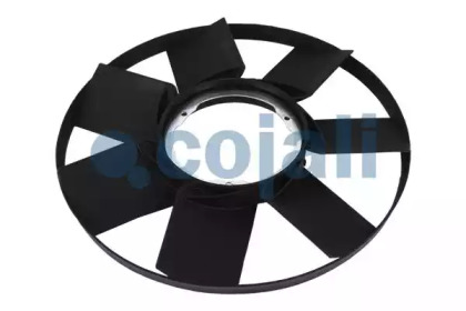 cojali 8111610