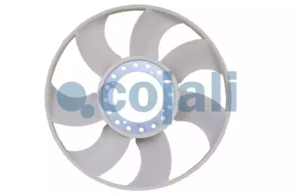 cojali 8115615